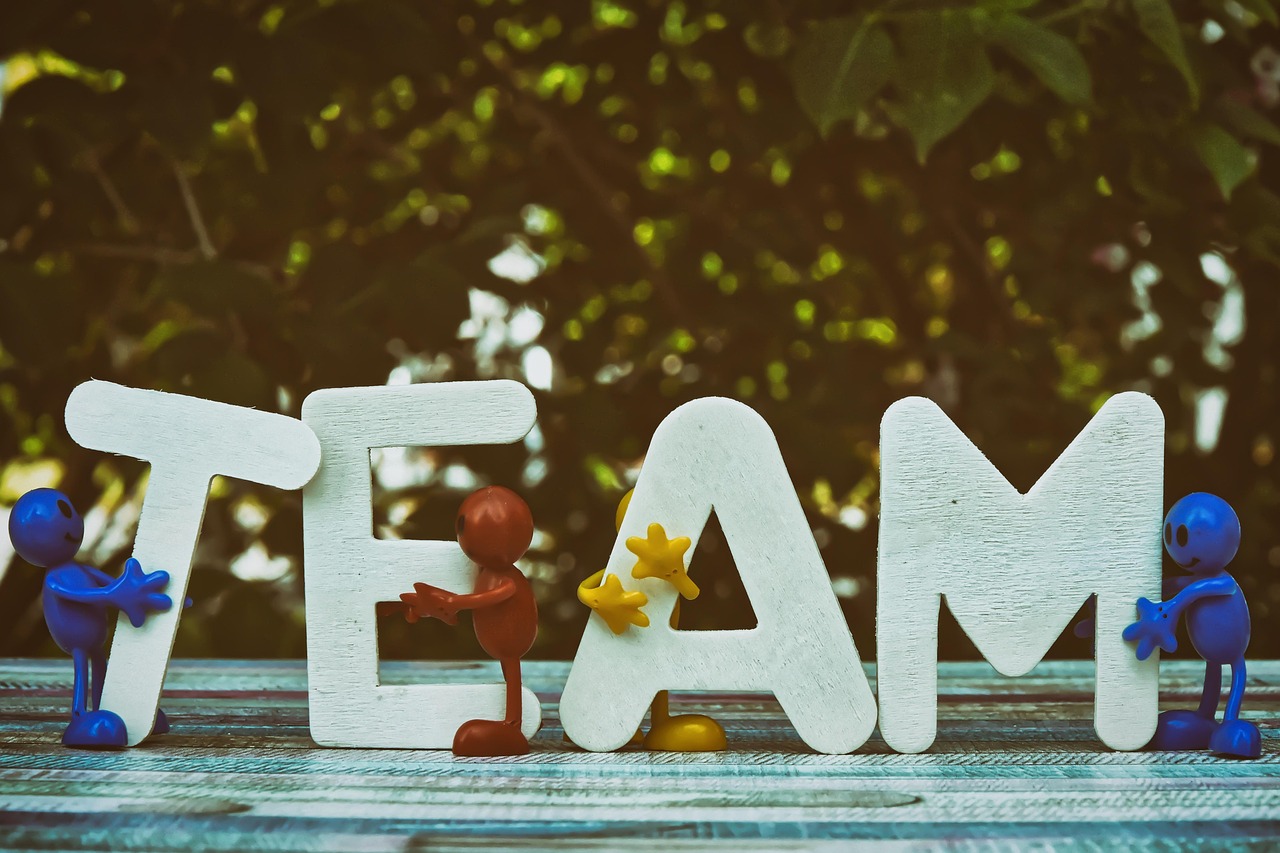 光辉世纪佳缘详情下载教程app详情下载教程安装