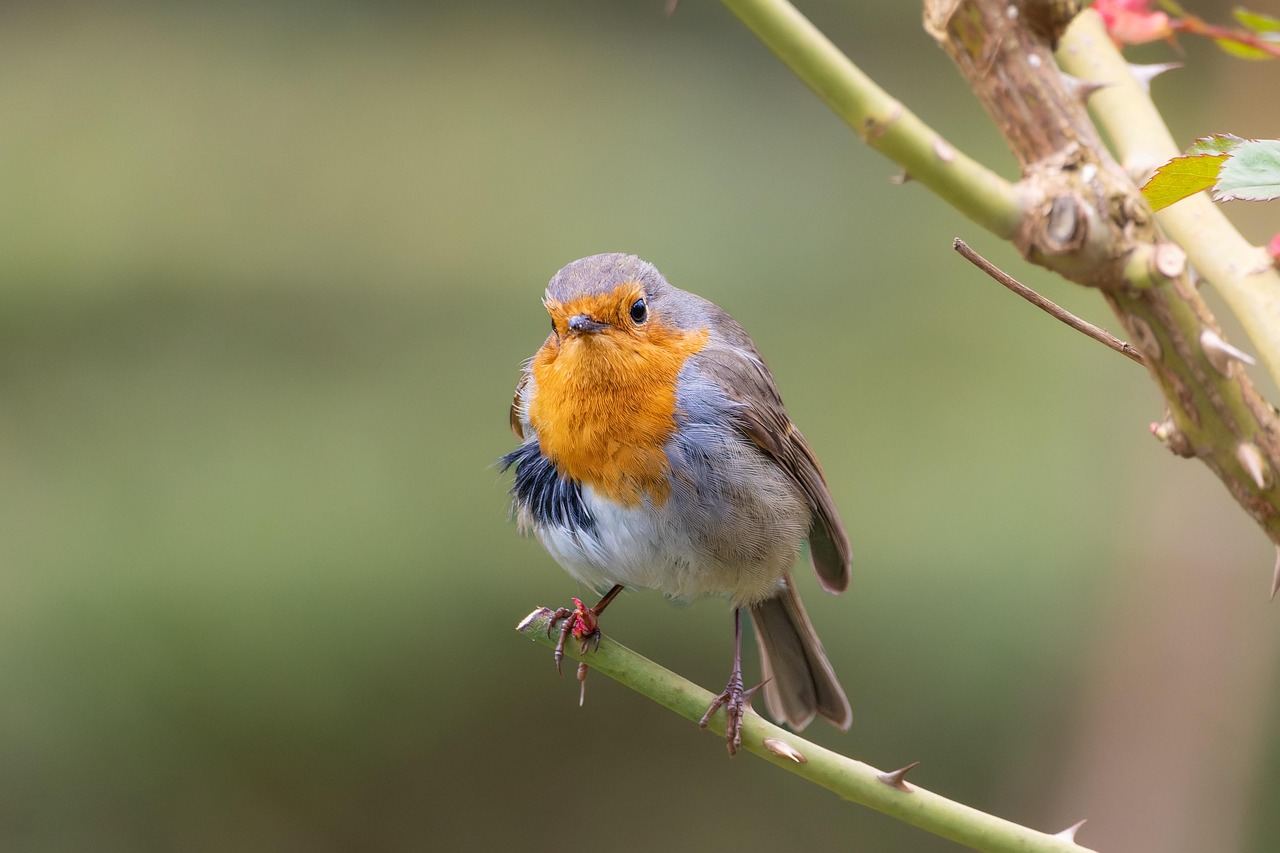 ucloud实名账号:如何使用短信自动回复机器人创建营销策略