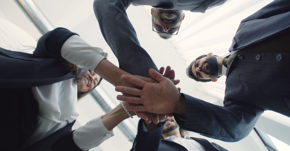 豪利时树叶爆珠：嘉兴江东公司注册代理