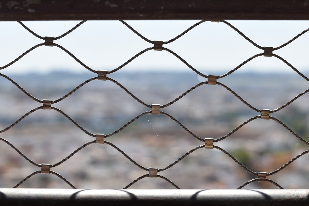 方盒爱国中支：金舜app详情下载教程